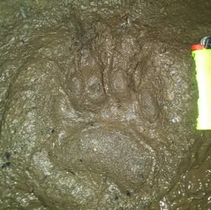 Meet your Posher, Jade